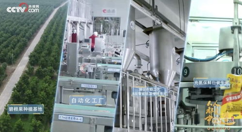 洽洽食品 把控品質從全產業(yè)鏈著手