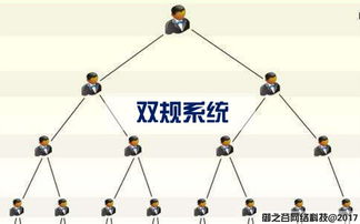 御之谷網(wǎng)絡(luò) 專(zhuān)業(yè)軟件開(kāi)發(fā)與網(wǎng)絡(luò)開(kāi)發(fā)服務(wù)的引領(lǐng)者